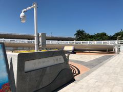 -演武大桥观景平台