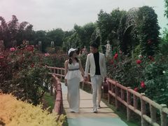 -百万葵园