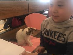 -喵匠猫主题咖啡(凯德和平广场店)