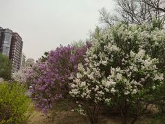 -元大都城垣遗址公园