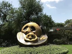 景点-成都大熊猫繁育研究基地
