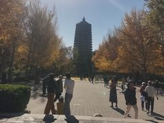 -玲珑塔公园