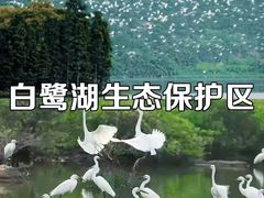 -美的鹭湖森林度假区