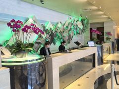 -广州白云机场雅高铂尔曼大酒店