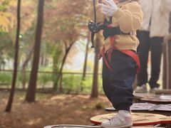 -同里国家湿地公园