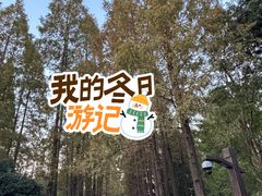 -上海植物园-4号门售票处