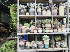 -金科花卉市场