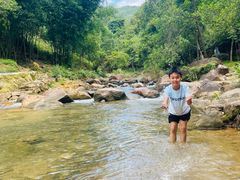 -广州白江湖森林公园