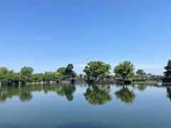 -无锡蠡湖国家湿地公园-蠡园