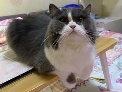 -宠颐生汉谟拉比宠物医院