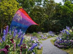 -深圳市中科院仙湖植物园