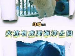 -大连老虎滩海洋公园