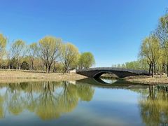 -东郊湿地公园