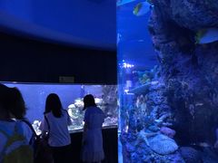 -成都浩海立方海洋公园