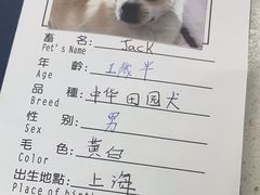 -申普宠物医院·心脏介入·心血管微创(总院)