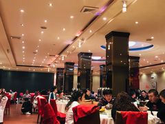 大堂-凯鸽酒楼(操场城店)