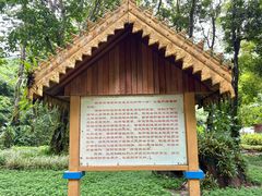 -莫里热带雨林景区