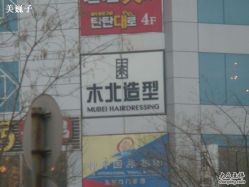 DSC08199-木北造型
