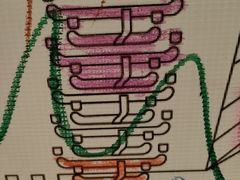 -伊势丹(现代城店)