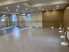 -蒲公英舞蹈艺术中心(促进路校区)