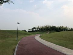 -滆湖低碳生态公园