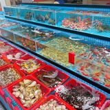 带着长辈来这家海鲜店… 被夸了一整晚 他们都说好好吃啊！