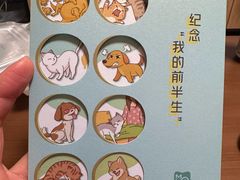 -美联众合动物医院·24h转诊中心