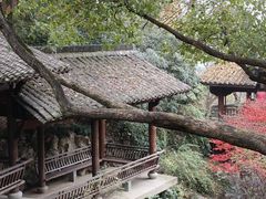 -中国茶叶博物馆(双峰馆区)
