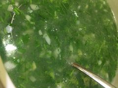 荠菜鳕鱼羹-老正兴菜馆(福州路店)