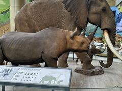 -陕西自然博物馆