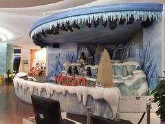 -帝企鹅自助餐厅•儿童岛•真企鹅(长隆企鹅酒店)