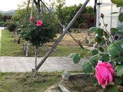 -呼吸森林·生态农庄农家乐私房菜