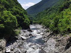 -黑河国家森林公园