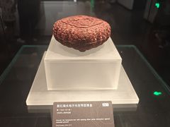 -广西壮族自治区博物馆