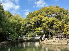 -西园戒幢律寺