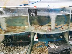 -鑫渔港海鲜本地菜·山海关浑锅(东戴河店)