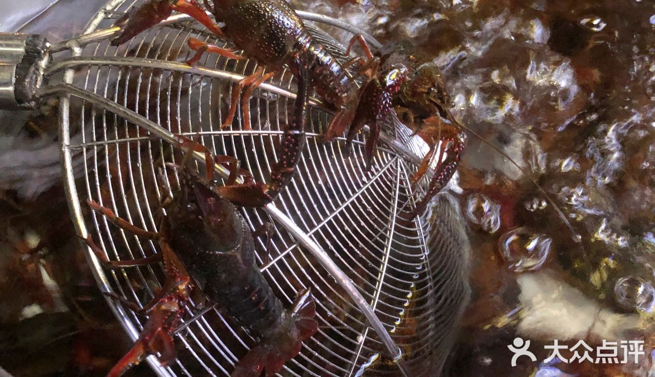 唐镇“虾领航”龙虾餐厅初体验