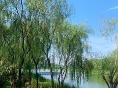 -大兴滨河森林公园