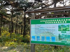 -北京西山国家森林公园