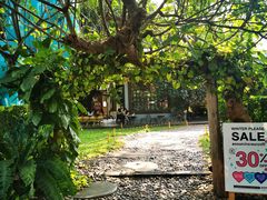 -莓园冰淇淋店