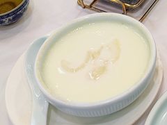 花胶炖水牛奶-和乐喜点(宝岗大道店)