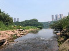 -重庆彩云湖湿地公园