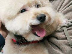 -全心全意连锁动物医院(加州店)