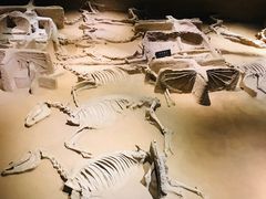 -洛阳周王城天子驾六博物馆