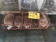 -大门水乡·顺德菜