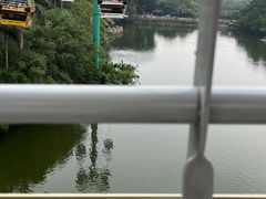 -广州长隆野生动物世界