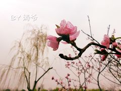 -圩墩遗址公园