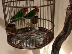 -小厨娘淮扬菜(六合欢乐港店)