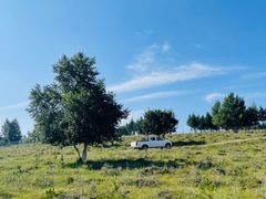 -塞罕坝国家级自然保护区