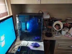-极客修手机维修 上海